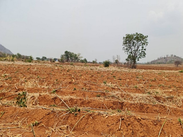 ประกาศฟรี! ซื้อ-ขาย-เช่า คอนโด บ้าน ทาวน์โฮม ที่ดิน และพื้นที่เชิงพาณิชย์ทั่วประเทศไทย ทุกทำเล ทุกงบประมาณ ไม่มีค่าใช้จ่าย ลงง่าย ขายไว เข้าถึงผู้ซื้อโดยตรง 2 11460pic1.jpg