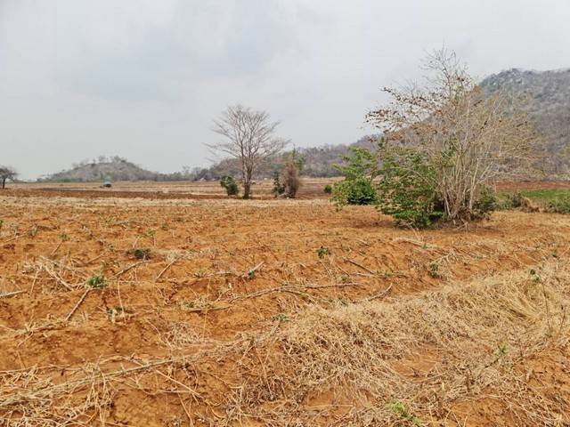 ประกาศฟรี! ซื้อ-ขาย-เช่า คอนโด บ้าน ทาวน์โฮม ที่ดิน และพื้นที่เชิงพาณิชย์ทั่วประเทศไทย ทุกทำเล ทุกงบประมาณ ไม่มีค่าใช้จ่าย ลงง่าย ขายไว เข้าถึงผู้ซื้อโดยตรง 5 11460pic4.jpg