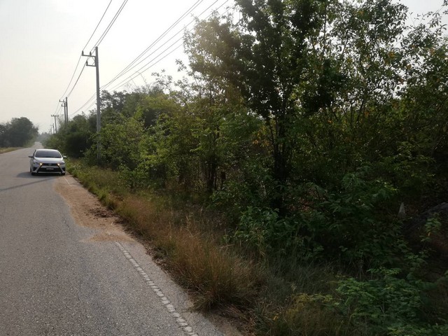 ประกาศฟรี! ซื้อ-ขาย-เช่า คอนโด บ้าน ทาวน์โฮม ที่ดิน และพื้นที่เชิงพาณิชย์ทั่วประเทศไทย ทุกทำเล ทุกงบประมาณ ไม่มีค่าใช้จ่าย ลงง่าย ขายไว เข้าถึงผู้ซื้อโดยตรง 3 7382pic2.jpg