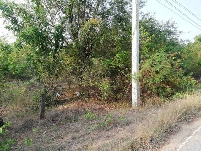 ประกาศฟรี! ซื้อ-ขาย-เช่า คอนโด บ้าน ทาวน์โฮม ที่ดิน และพื้นที่เชิงพาณิชย์ทั่วประเทศไทย ทุกทำเล ทุกงบประมาณ ไม่มีค่าใช้จ่าย ลงง่าย ขายไว เข้าถึงผู้ซื้อโดยตรง 4 7382pic3.jpg