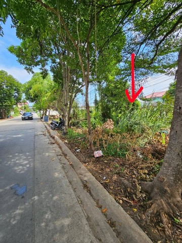 ประกาศฟรี! ซื้อ-ขาย-เช่า คอนโด บ้าน ทาวน์โฮม ที่ดิน และพื้นที่เชิงพาณิชย์ทั่วประเทศไทย ทุกทำเล ทุกงบประมาณ ไม่มีค่าใช้จ่าย ลงง่าย ขายไว เข้าถึงผู้ซื้อโดยตรง 5 181124pic4.jpg