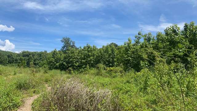 ประกาศฟรี! ซื้อ-ขาย-เช่า คอนโด บ้าน ทาวน์โฮม ที่ดิน และพื้นที่เชิงพาณิชย์ทั่วประเทศไทย ทุกทำเล ทุกงบประมาณ ไม่มีค่าใช้จ่าย ลงง่าย ขายไว เข้าถึงผู้ซื้อโดยตรง 2 7375pic1.jpg