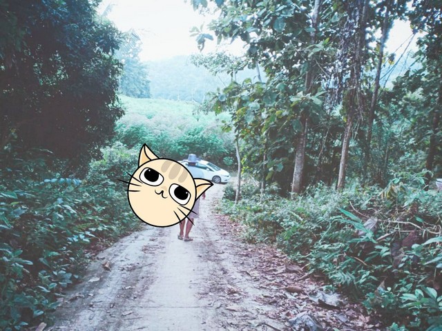 ประกาศฟรี! ซื้อ-ขาย-เช่า คอนโด บ้าน ทาวน์โฮม ที่ดิน และพื้นที่เชิงพาณิชย์ทั่วประเทศไทย ทุกทำเล ทุกงบประมาณ ไม่มีค่าใช้จ่าย ลงง่าย ขายไว เข้าถึงผู้ซื้อโดยตรง 3 7375pic2.jpg