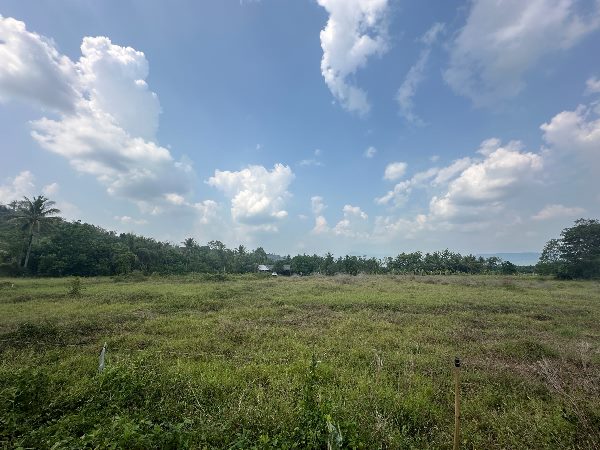 ประกาศฟรี! ซื้อ-ขาย-เช่า คอนโด บ้าน ทาวน์โฮม ที่ดิน และพื้นที่เชิงพาณิชย์ทั่วประเทศไทย ทุกทำเล ทุกงบประมาณ ไม่มีค่าใช้จ่าย ลงง่าย ขายไว เข้าถึงผู้ซื้อโดยตรง 5 279929pic4.jpg