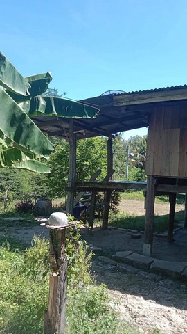 ประกาศฟรี! ซื้อ-ขาย-เช่า คอนโด บ้าน ทาวน์โฮม ที่ดิน และพื้นที่เชิงพาณิชย์ทั่วประเทศไทย ทุกทำเล ทุกงบประมาณ ไม่มีค่าใช้จ่าย ลงง่าย ขายไว เข้าถึงผู้ซื้อโดยตรง 2 7372pic1.jpg