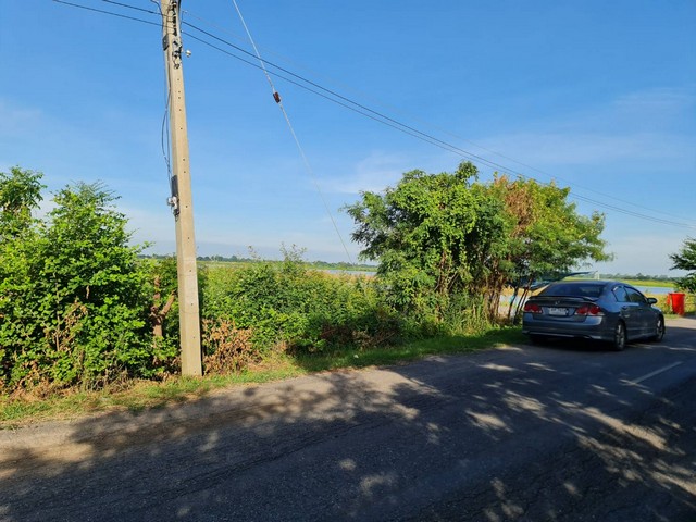 ประกาศฟรี! ซื้อ-ขาย-เช่า คอนโด บ้าน ทาวน์โฮม ที่ดิน และพื้นที่เชิงพาณิชย์ทั่วประเทศไทย ทุกทำเล ทุกงบประมาณ ไม่มีค่าใช้จ่าย ลงง่าย ขายไว เข้าถึงผู้ซื้อโดยตรง 4 7371pic3.jpg