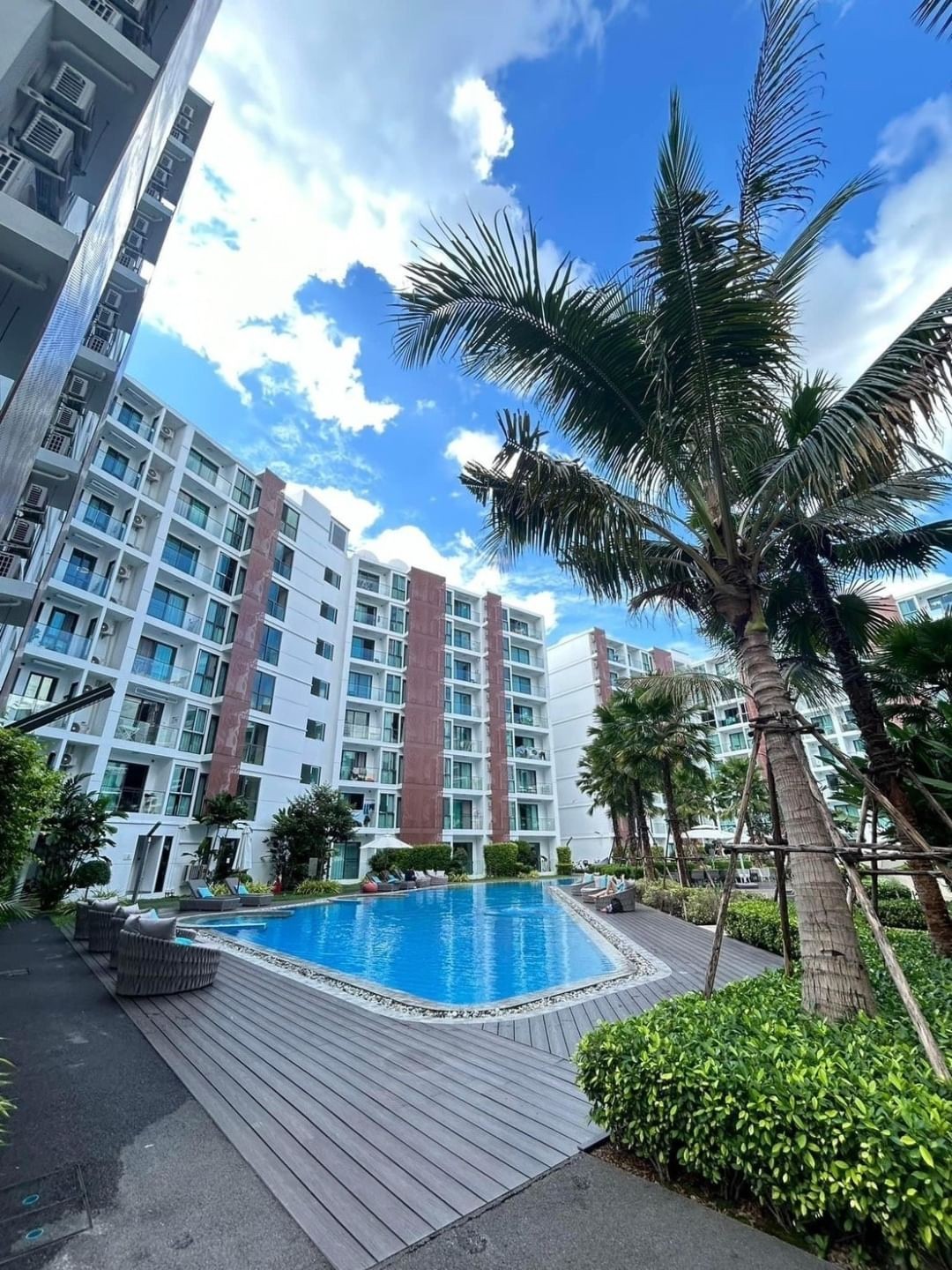 ประกาศฟรี! ซื้อ-ขาย-เช่า คอนโด บ้าน ทาวน์โฮม ที่ดิน และพื้นที่เชิงพาณิชย์ทั่วประเทศไทย ทุกทำเล ทุกงบประมาณ ไม่มีค่าใช้จ่าย ลงง่าย ขายไว เข้าถึงผู้ซื้อโดยตรง 2 181243pic1.jpg