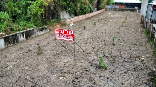 ประกาศฟรี! ซื้อ-ขาย-เช่า คอนโด บ้าน ทาวน์โฮม ที่ดิน และพื้นที่เชิงพาณิชย์ทั่วประเทศไทย ทุกทำเล ทุกงบประมาณ ไม่มีค่าใช้จ่าย ลงง่าย ขายไว เข้าถึงผู้ซื้อโดยตรง 4 441987pic3.jpg