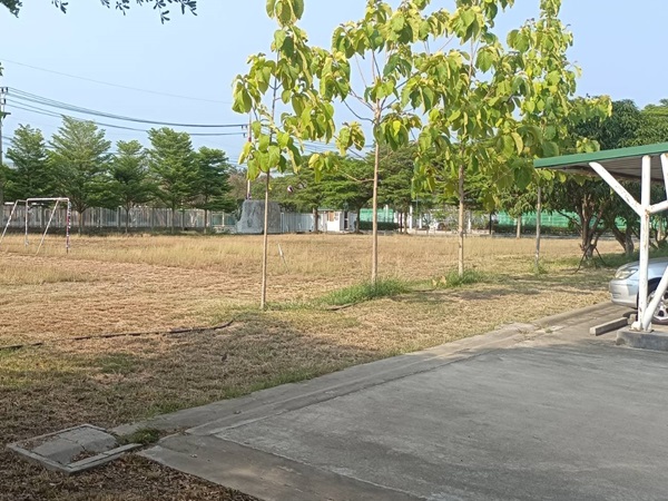 ประกาศฟรี! ซื้อ-ขาย-เช่า คอนโด บ้าน ทาวน์โฮม ที่ดิน และพื้นที่เชิงพาณิชย์ทั่วประเทศไทย ทุกทำเล ทุกงบประมาณ ไม่มีค่าใช้จ่าย ลงง่าย ขายไว เข้าถึงผู้ซื้อโดยตรง 5 181099pic4.jpg