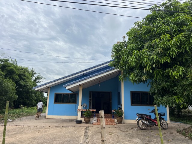 ประกาศฟรี! ซื้อ-ขาย-เช่า คอนโด บ้าน ทาวน์โฮม ที่ดิน และพื้นที่เชิงพาณิชย์ทั่วประเทศไทย ทุกทำเล ทุกงบประมาณ ไม่มีค่าใช้จ่าย ลงง่าย ขายไว เข้าถึงผู้ซื้อโดยตรง 2 481757pic1.jpg