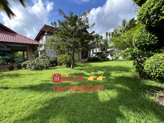 ประกาศฟรี! ซื้อ-ขาย-เช่า คอนโด บ้าน ทาวน์โฮม ที่ดิน และพื้นที่เชิงพาณิชย์ทั่วประเทศไทย ทุกทำเล ทุกงบประมาณ ไม่มีค่าใช้จ่าย ลงง่าย ขายไว เข้าถึงผู้ซื้อโดยตรง 3 481752pic2.jpg