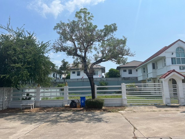 ประกาศฟรี! ซื้อ-ขาย-เช่า คอนโด บ้าน ทาวน์โฮม ที่ดิน และพื้นที่เชิงพาณิชย์ทั่วประเทศไทย ทุกทำเล ทุกงบประมาณ ไม่มีค่าใช้จ่าย ลงง่าย ขายไว เข้าถึงผู้ซื้อโดยตรง 2 481711pic1.jpg