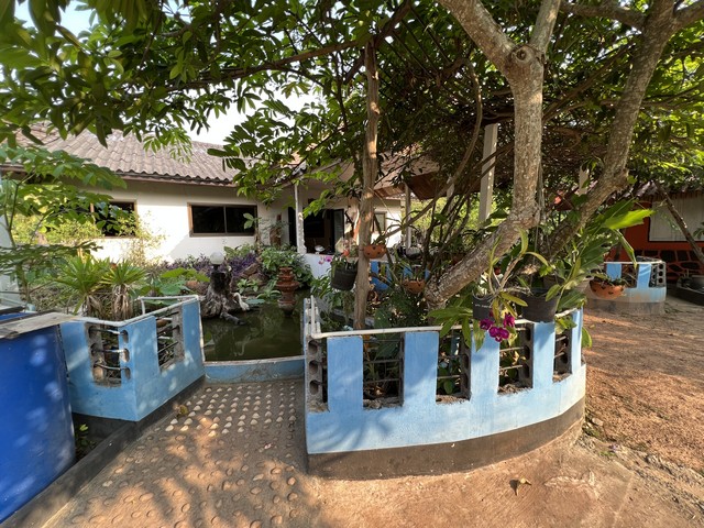 ประกาศฟรี! ซื้อ-ขาย-เช่า คอนโด บ้าน ทาวน์โฮม ที่ดิน และพื้นที่เชิงพาณิชย์ทั่วประเทศไทย ทุกทำเล ทุกงบประมาณ ไม่มีค่าใช้จ่าย ลงง่าย ขายไว เข้าถึงผู้ซื้อโดยตรง 2 481934pic1.jpg