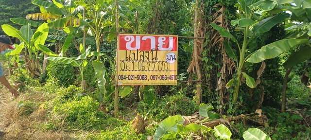 ประกาศฟรี! ซื้อ-ขาย-เช่า คอนโด บ้าน ทาวน์โฮม ที่ดิน และพื้นที่เชิงพาณิชย์ทั่วประเทศไทย ทุกทำเล ทุกงบประมาณ ไม่มีค่าใช้จ่าย ลงง่าย ขายไว เข้าถึงผู้ซื้อโดยตรง 2 482006pic1.jpg