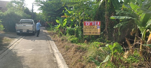 ประกาศฟรี! ซื้อ-ขาย-เช่า คอนโด บ้าน ทาวน์โฮม ที่ดิน และพื้นที่เชิงพาณิชย์ทั่วประเทศไทย ทุกทำเล ทุกงบประมาณ ไม่มีค่าใช้จ่าย ลงง่าย ขายไว เข้าถึงผู้ซื้อโดยตรง 3 482006pic2.jpg