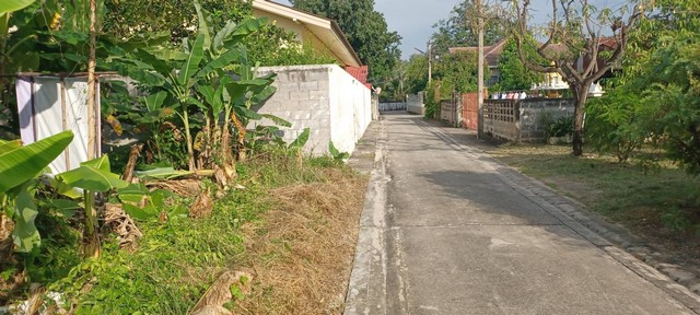 ประกาศฟรี! ซื้อ-ขาย-เช่า คอนโด บ้าน ทาวน์โฮม ที่ดิน และพื้นที่เชิงพาณิชย์ทั่วประเทศไทย ทุกทำเล ทุกงบประมาณ ไม่มีค่าใช้จ่าย ลงง่าย ขายไว เข้าถึงผู้ซื้อโดยตรง 4 482006pic3.jpg