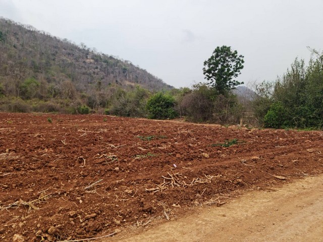 ประกาศฟรี! ซื้อ-ขาย-เช่า คอนโด บ้าน ทาวน์โฮม ที่ดิน และพื้นที่เชิงพาณิชย์ทั่วประเทศไทย ทุกทำเล ทุกงบประมาณ ไม่มีค่าใช้จ่าย ลงง่าย ขายไว เข้าถึงผู้ซื้อโดยตรง 2 11460pic1.jpg