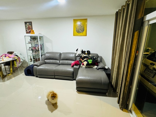 ประกาศฟรี! ซื้อ-ขาย-เช่า คอนโด บ้าน ทาวน์โฮม ที่ดิน และพื้นที่เชิงพาณิชย์ทั่วประเทศไทย ทุกทำเล ทุกงบประมาณ ไม่มีค่าใช้จ่าย ลงง่าย ขายไว เข้าถึงผู้ซื้อโดยตรง 4 272512pic3.jpg