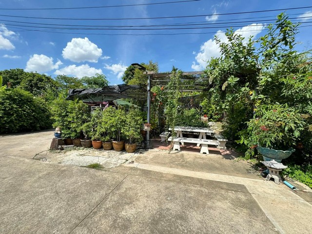 ประกาศฟรี! ซื้อ-ขาย-เช่า คอนโด บ้าน ทาวน์โฮม ที่ดิน และพื้นที่เชิงพาณิชย์ทั่วประเทศไทย ทุกทำเล ทุกงบประมาณ ไม่มีค่าใช้จ่าย ลงง่าย ขายไว เข้าถึงผู้ซื้อโดยตรง 2 280228pic1.jpg