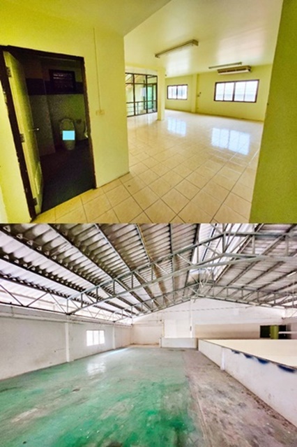 ประกาศฟรี! ซื้อ-ขาย-เช่า คอนโด บ้าน ทาวน์โฮม ที่ดิน และพื้นที่เชิงพาณิชย์ทั่วประเทศไทย ทุกทำเล ทุกงบประมาณ ไม่มีค่าใช้จ่าย ลงง่าย ขายไว เข้าถึงผู้ซื้อโดยตรง 5 181952pic4.jpg