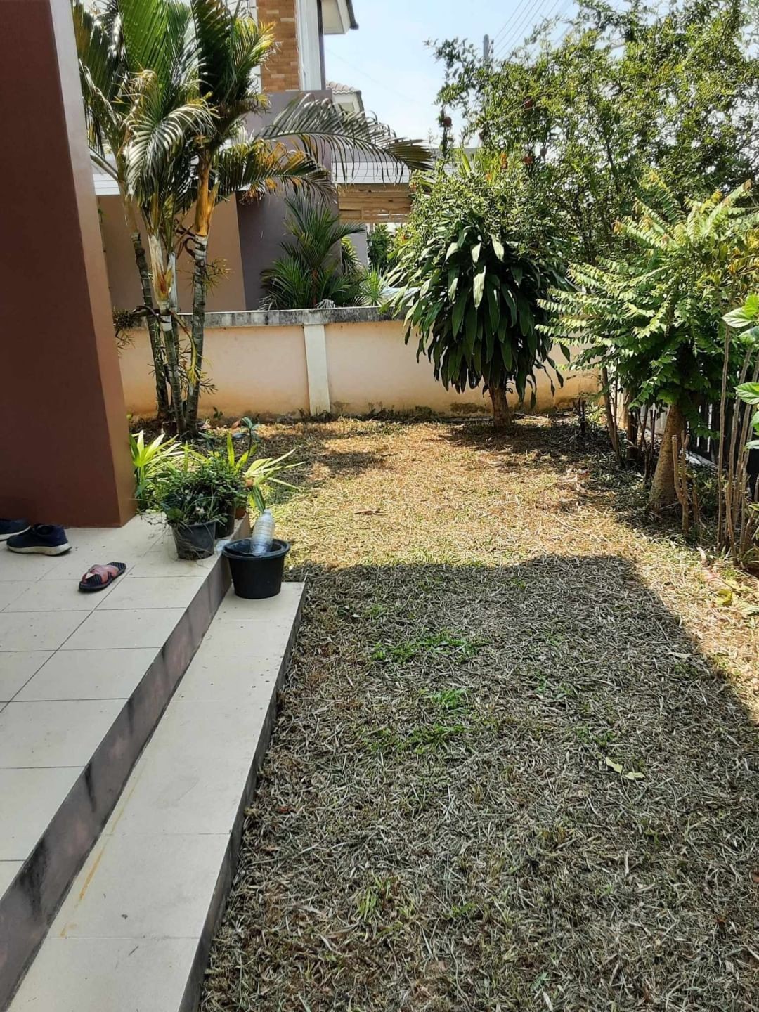 ประกาศฟรี! ซื้อ-ขาย-เช่า คอนโด บ้าน ทาวน์โฮม ที่ดิน และพื้นที่เชิงพาณิชย์ทั่วประเทศไทย ทุกทำเล ทุกงบประมาณ ไม่มีค่าใช้จ่าย ลงง่าย ขายไว เข้าถึงผู้ซื้อโดยตรง 3 182096pic2.jpg