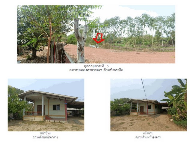 ประกาศฟรี! ซื้อ-ขาย-เช่า คอนโด บ้าน ทาวน์โฮม ที่ดิน และพื้นที่เชิงพาณิชย์ทั่วประเทศไทย ทุกทำเล ทุกงบประมาณ ไม่มีค่าใช้จ่าย ลงง่าย ขายไว เข้าถึงผู้ซื้อโดยตรง 5 182240pic4.jpg