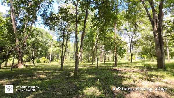 ประกาศฟรี! ซื้อ-ขาย-เช่า คอนโด บ้าน ทาวน์โฮม ที่ดิน และพื้นที่เชิงพาณิชย์ทั่วประเทศไทย ทุกทำเล ทุกงบประมาณ ไม่มีค่าใช้จ่าย ลงง่าย ขายไว เข้าถึงผู้ซื้อโดยตรง 5 482166pic4.jpg