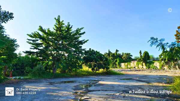 ประกาศฟรี! ซื้อ-ขาย-เช่า คอนโด บ้าน ทาวน์โฮม ที่ดิน และพื้นที่เชิงพาณิชย์ทั่วประเทศไทย ทุกทำเล ทุกงบประมาณ ไม่มีค่าใช้จ่าย ลงง่าย ขายไว เข้าถึงผู้ซื้อโดยตรง 3 482163pic2.jpg