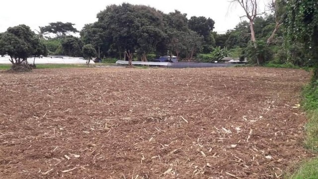 ประกาศฟรี! ซื้อ-ขาย-เช่า คอนโด บ้าน ทาวน์โฮม ที่ดิน และพื้นที่เชิงพาณิชย์ทั่วประเทศไทย ทุกทำเล ทุกงบประมาณ ไม่มีค่าใช้จ่าย ลงง่าย ขายไว เข้าถึงผู้ซื้อโดยตรง 4 182290pic3.jpg