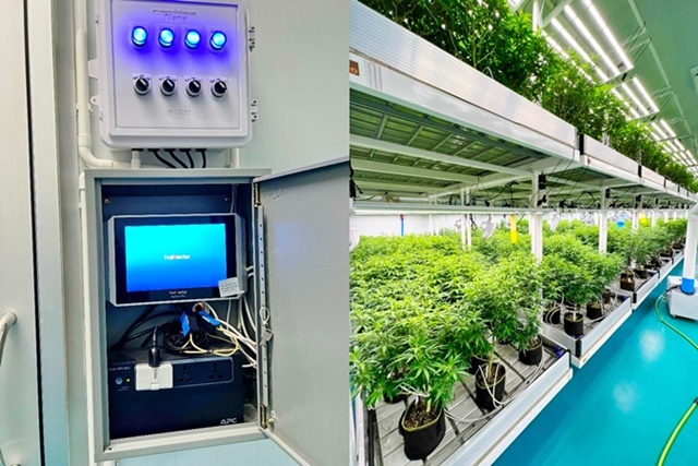 ประกาศฟรี! ซื้อ-ขาย-เช่า คอนโด บ้าน ทาวน์โฮม ที่ดิน และพื้นที่เชิงพาณิชย์ทั่วประเทศไทย ทุกทำเล ทุกงบประมาณ ไม่มีค่าใช้จ่าย ลงง่าย ขายไว เข้าถึงผู้ซื้อโดยตรง 2 182264pic1.jpg