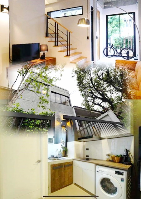 ประกาศฟรี! ซื้อ-ขาย-เช่า คอนโด บ้าน ทาวน์โฮม ที่ดิน และพื้นที่เชิงพาณิชย์ทั่วประเทศไทย ทุกทำเล ทุกงบประมาณ ไม่มีค่าใช้จ่าย ลงง่าย ขายไว เข้าถึงผู้ซื้อโดยตรง 2 182349pic1.jpg