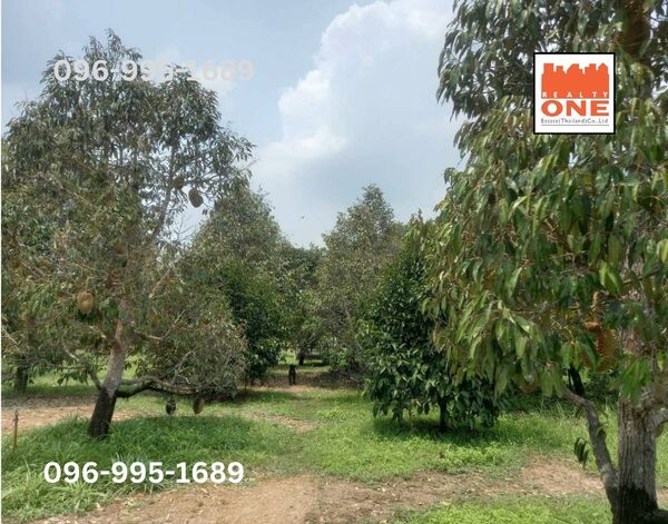 ประกาศฟรี! ซื้อ-ขาย-เช่า คอนโด บ้าน ทาวน์โฮม ที่ดิน และพื้นที่เชิงพาณิชย์ทั่วประเทศไทย ทุกทำเล ทุกงบประมาณ ไม่มีค่าใช้จ่าย ลงง่าย ขายไว เข้าถึงผู้ซื้อโดยตรง 2 473951pic1.jpg