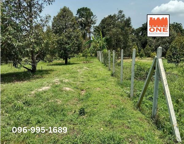 ประกาศฟรี! ซื้อ-ขาย-เช่า คอนโด บ้าน ทาวน์โฮม ที่ดิน และพื้นที่เชิงพาณิชย์ทั่วประเทศไทย ทุกทำเล ทุกงบประมาณ ไม่มีค่าใช้จ่าย ลงง่าย ขายไว เข้าถึงผู้ซื้อโดยตรง 3 473951pic2.jpg