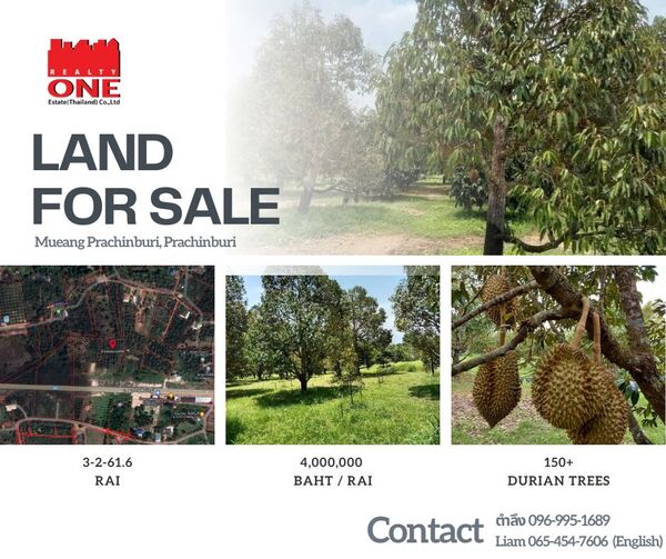 ประกาศฟรี! ซื้อ-ขาย-เช่า คอนโด บ้าน ทาวน์โฮม ที่ดิน และพื้นที่เชิงพาณิชย์ทั่วประเทศไทย ทุกทำเล ทุกงบประมาณ ไม่มีค่าใช้จ่าย ลงง่าย ขายไว เข้าถึงผู้ซื้อโดยตรง 5 473951pic4.jpg