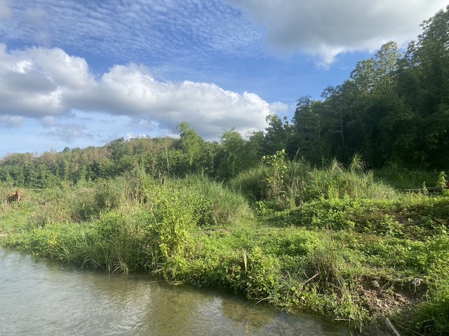 ประกาศฟรี! ซื้อ-ขาย-เช่า คอนโด บ้าน ทาวน์โฮม ที่ดิน และพื้นที่เชิงพาณิชย์ทั่วประเทศไทย ทุกทำเล ทุกงบประมาณ ไม่มีค่าใช้จ่าย ลงง่าย ขายไว เข้าถึงผู้ซื้อโดยตรง 3 7375pic2.jpg