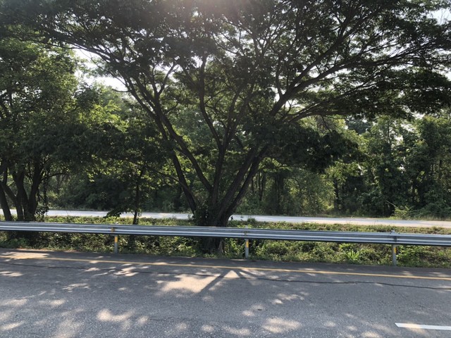 ประกาศฟรี! ซื้อ-ขาย-เช่า คอนโด บ้าน ทาวน์โฮม ที่ดิน และพื้นที่เชิงพาณิชย์ทั่วประเทศไทย ทุกทำเล ทุกงบประมาณ ไม่มีค่าใช้จ่าย ลงง่าย ขายไว เข้าถึงผู้ซื้อโดยตรง 3 7368pic2.jpg