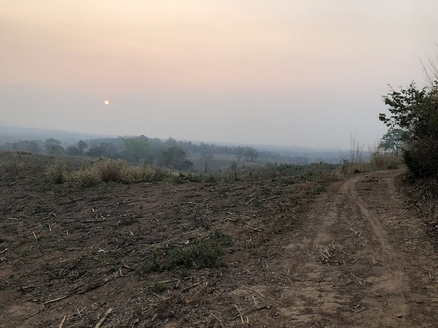 ประกาศฟรี! ซื้อ-ขาย-เช่า คอนโด บ้าน ทาวน์โฮม ที่ดิน และพื้นที่เชิงพาณิชย์ทั่วประเทศไทย ทุกทำเล ทุกงบประมาณ ไม่มีค่าใช้จ่าย ลงง่าย ขายไว เข้าถึงผู้ซื้อโดยตรง 3 7367pic2.jpg