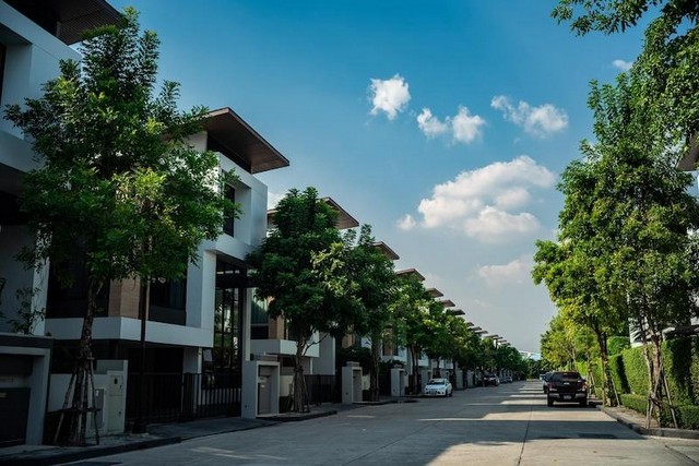 ประกาศฟรี! ซื้อ-ขาย-เช่า คอนโด บ้าน ทาวน์โฮม ที่ดิน และพื้นที่เชิงพาณิชย์ทั่วประเทศไทย ทุกทำเล ทุกงบประมาณ ไม่มีค่าใช้จ่าย ลงง่าย ขายไว เข้าถึงผู้ซื้อโดยตรง 3 482409pic2.jpg