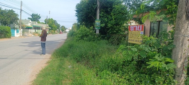 ประกาศฟรี! ซื้อ-ขาย-เช่า คอนโด บ้าน ทาวน์โฮม ที่ดิน และพื้นที่เชิงพาณิชย์ทั่วประเทศไทย ทุกทำเล ทุกงบประมาณ ไม่มีค่าใช้จ่าย ลงง่าย ขายไว เข้าถึงผู้ซื้อโดยตรง 3 482477pic2.jpg