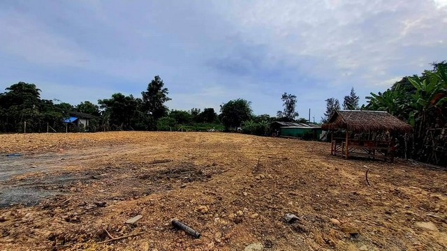 ประกาศฟรี! ซื้อ-ขาย-เช่า คอนโด บ้าน ทาวน์โฮม ที่ดิน และพื้นที่เชิงพาณิชย์ทั่วประเทศไทย ทุกทำเล ทุกงบประมาณ ไม่มีค่าใช้จ่าย ลงง่าย ขายไว เข้าถึงผู้ซื้อโดยตรง 4 241027pic3.jpg