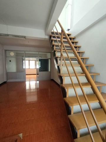 ประกาศฟรี! ซื้อ-ขาย-เช่า คอนโด บ้าน ทาวน์โฮม ที่ดิน และพื้นที่เชิงพาณิชย์ทั่วประเทศไทย ทุกทำเล ทุกงบประมาณ ไม่มีค่าใช้จ่าย ลงง่าย ขายไว เข้าถึงผู้ซื้อโดยตรง 4 482740pic3.jpg