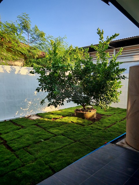 ประกาศฟรี! ซื้อ-ขาย-เช่า คอนโด บ้าน ทาวน์โฮม ที่ดิน และพื้นที่เชิงพาณิชย์ทั่วประเทศไทย ทุกทำเล ทุกงบประมาณ ไม่มีค่าใช้จ่าย ลงง่าย ขายไว เข้าถึงผู้ซื้อโดยตรง 3 482811pic2.jpg