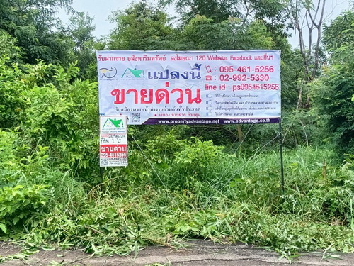 ประกาศฟรี! ซื้อ-ขาย-เช่า คอนโด บ้าน ทาวน์โฮม ที่ดิน และพื้นที่เชิงพาณิชย์ทั่วประเทศไทย ทุกทำเล ทุกงบประมาณ ไม่มีค่าใช้จ่าย ลงง่าย ขายไว เข้าถึงผู้ซื้อโดยตรง 2 482848pic1.jpg