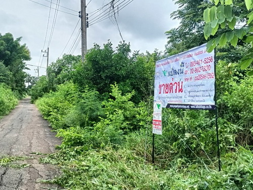 ประกาศฟรี! ซื้อ-ขาย-เช่า คอนโด บ้าน ทาวน์โฮม ที่ดิน และพื้นที่เชิงพาณิชย์ทั่วประเทศไทย ทุกทำเล ทุกงบประมาณ ไม่มีค่าใช้จ่าย ลงง่าย ขายไว เข้าถึงผู้ซื้อโดยตรง 3 482848pic2.jpg