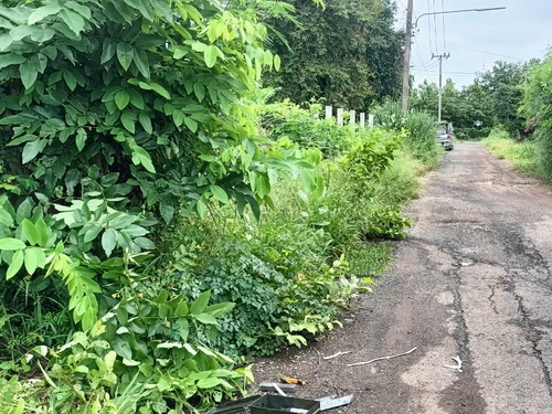 ประกาศฟรี! ซื้อ-ขาย-เช่า คอนโด บ้าน ทาวน์โฮม ที่ดิน และพื้นที่เชิงพาณิชย์ทั่วประเทศไทย ทุกทำเล ทุกงบประมาณ ไม่มีค่าใช้จ่าย ลงง่าย ขายไว เข้าถึงผู้ซื้อโดยตรง 4 482848pic3.jpg