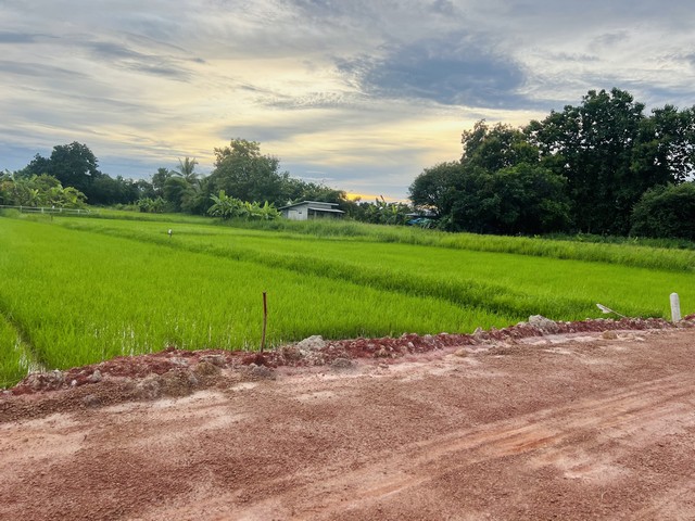 ประกาศฟรี! ซื้อ-ขาย-เช่า คอนโด บ้าน ทาวน์โฮม ที่ดิน และพื้นที่เชิงพาณิชย์ทั่วประเทศไทย ทุกทำเล ทุกงบประมาณ ไม่มีค่าใช้จ่าย ลงง่าย ขายไว เข้าถึงผู้ซื้อโดยตรง 2 481759pic1.jpg