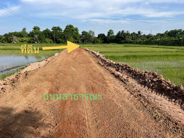 ประกาศฟรี! ซื้อ-ขาย-เช่า คอนโด บ้าน ทาวน์โฮม ที่ดิน และพื้นที่เชิงพาณิชย์ทั่วประเทศไทย ทุกทำเล ทุกงบประมาณ ไม่มีค่าใช้จ่าย ลงง่าย ขายไว เข้าถึงผู้ซื้อโดยตรง 3 481759pic2.jpg