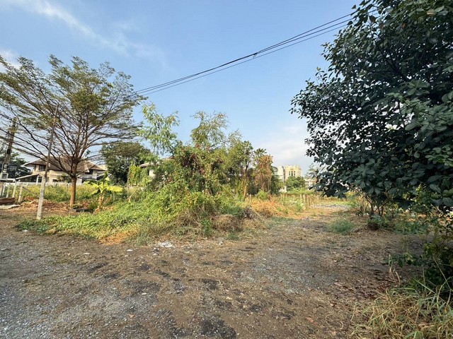 ประกาศฟรี! ซื้อ-ขาย-เช่า คอนโด บ้าน ทาวน์โฮม ที่ดิน และพื้นที่เชิงพาณิชย์ทั่วประเทศไทย ทุกทำเล ทุกงบประมาณ ไม่มีค่าใช้จ่าย ลงง่าย ขายไว เข้าถึงผู้ซื้อโดยตรง 5 281106pic4.jpg