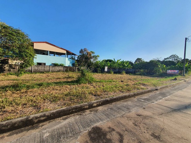 ประกาศฟรี! ซื้อ-ขาย-เช่า คอนโด บ้าน ทาวน์โฮม ที่ดิน และพื้นที่เชิงพาณิชย์ทั่วประเทศไทย ทุกทำเล ทุกงบประมาณ ไม่มีค่าใช้จ่าย ลงง่าย ขายไว เข้าถึงผู้ซื้อโดยตรง 2 183809pic1.jpg