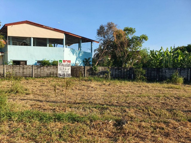 ประกาศฟรี! ซื้อ-ขาย-เช่า คอนโด บ้าน ทาวน์โฮม ที่ดิน และพื้นที่เชิงพาณิชย์ทั่วประเทศไทย ทุกทำเล ทุกงบประมาณ ไม่มีค่าใช้จ่าย ลงง่าย ขายไว เข้าถึงผู้ซื้อโดยตรง 5 183809pic4.jpg